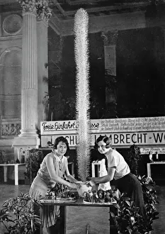 Caramel: A three-meter high cactus from caramel