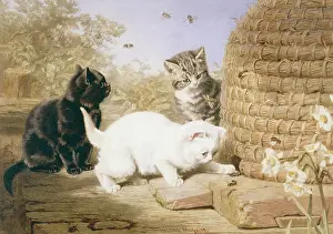 Threes: Three's Trouble – kittens by a beehive