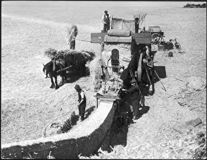 Thresher: THRESHING 1930S