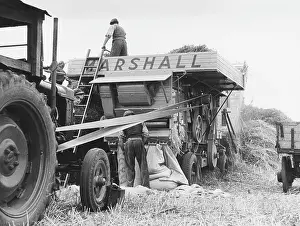 Thresher: THRESHING CORN