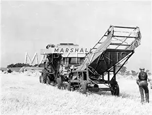 Thresher: THRESHING IN EAST ANGLIA