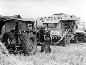Thresher: THRESHING IN EAST ANGLIA