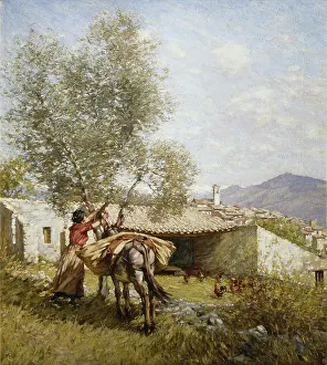 Threshing: The Threshing Floor ' woman with a donkey