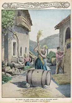 Threshed: THRESHING, ITALY