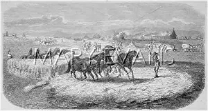 Campagna: THRESHING, ITALY