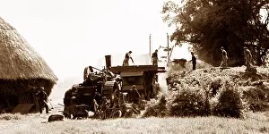 Haymaking: Threshing machine
