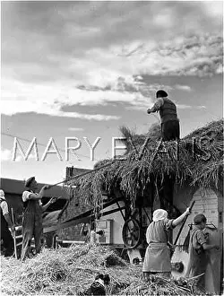 Thresher: THRESHING OATS