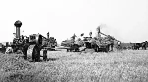 Prairies: Threshing on the Prairies, Canada