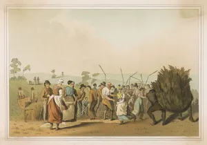 Threshing: THRESHING RAPE 1814