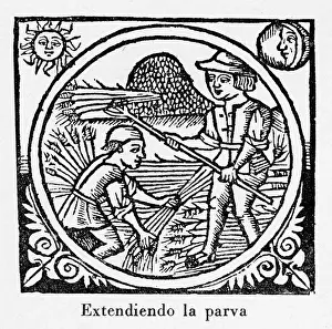 1511: Threshing, Spain 1511 -2