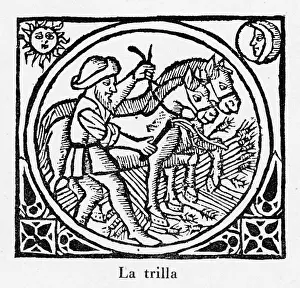 1511: Threshing, Spain 1511