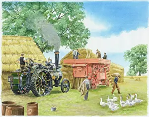 Threshing: Threshing ? with Steam Engine, Haystacks, etc