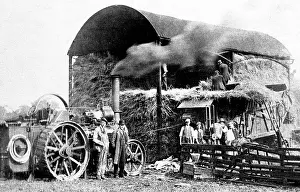 Haymaking: Threshing with a traction engine
