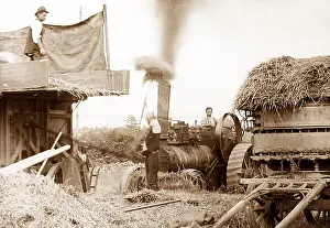 Haymaking: Threshing with a traction engine