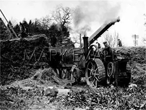 Thresher: THRESHING WHEAT 1930S