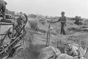 Threshers: Threshing wheat in central Ohio. A farmer ?