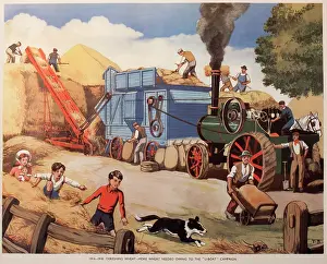Threshing: Threshing wheat during the First World War