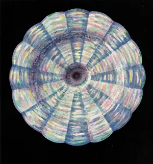 Chakras: The Throat Chakra