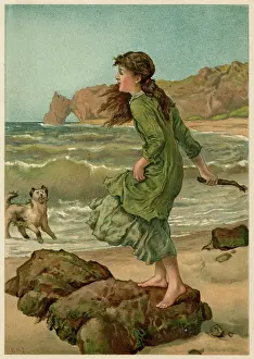 Retrieve: THROWING STICKS FOR DOG