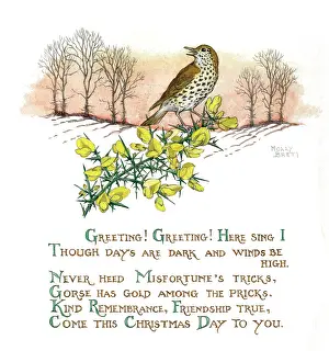 Bough: Thrush on gorse bough with winter landscape