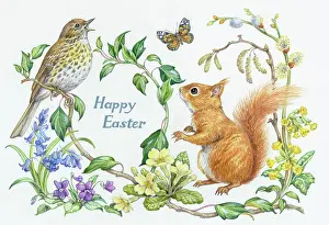 Catkins: Thrush, red squirrel, butterfly & spring flowers