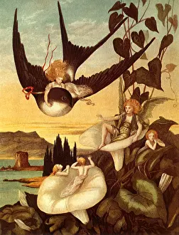 Thumbelina: Thumbelina on Swallow