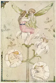 Thumbelina: THUMBKINETTA/THUMBELINA