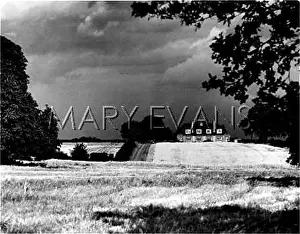 Hambledon: THUNDERY SKY OVER FIELDS