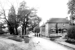 Thursley: Thursley, Village Post Office 1907