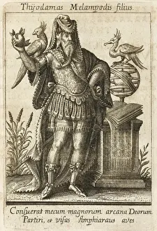 Augur: THYODAMAS