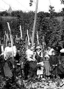 Ticehurst: Ticehurst, a Hard Days Work 1907