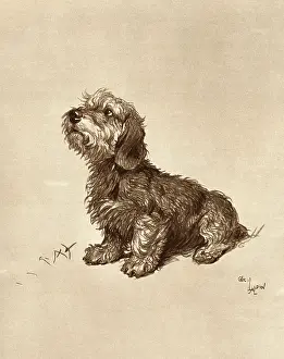 Dandie: Ticked Off by Cecil Aldin