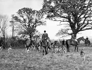 Tickham: THE TICKHAM FOXHOUNDS