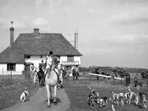 Tickham: THE TICKHAM FOXHOUNDS