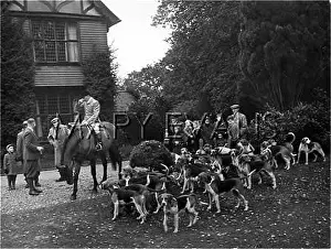 Tickham: THE TICKHAM FOXHOUNDS