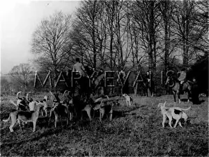 Tickham: TICKHAM FOXHOUNDS MEET