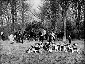 Tickham: TICKHAM FOXHOUNDS MEET