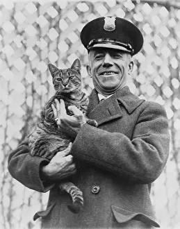 Promenading: Tige, the White House cat and pet of First ?