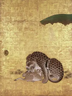 Causes: Tiger