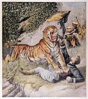 Trusty: TIGER ATTACKS FRENCHMAN