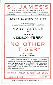 Jamess: No Other Tiger by A E W Mason