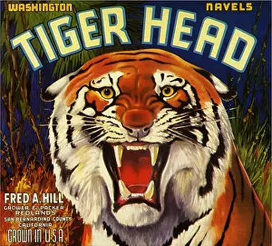 Tigers: Tiger Fruit Label