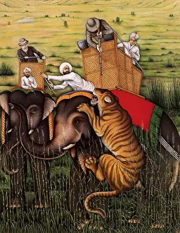 Howdah: Tiger-Hunt