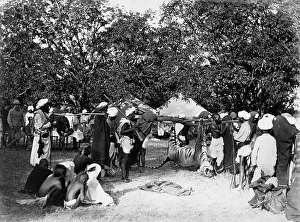 1899copy1: Tiger Hunting, India