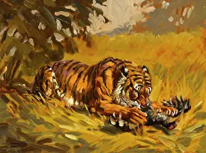 Tigers: Tiger with a kill