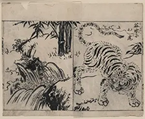 Cataract: Tiger near a cataract