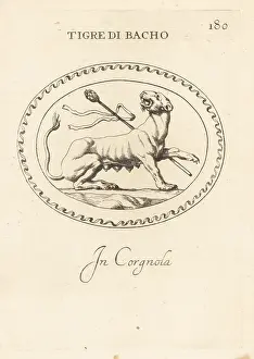 Roman God: Tiger representing Bacchus, Roman god of wine