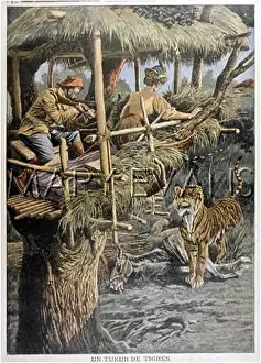 Capitaine: TIGER SHOOT IN VIETNAM