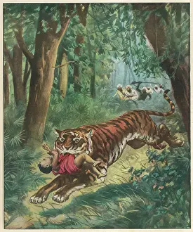 Harm: TIGER STEALS BENGAL BABY