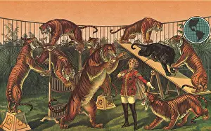 Tricks: Tiger Tamer